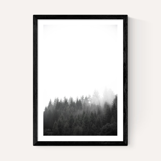 Walk Through the Forest
