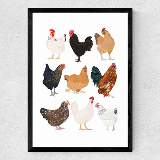 Hens in Glasses Medium Black Frame