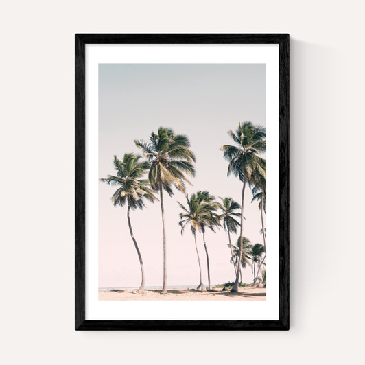 Island Dreams