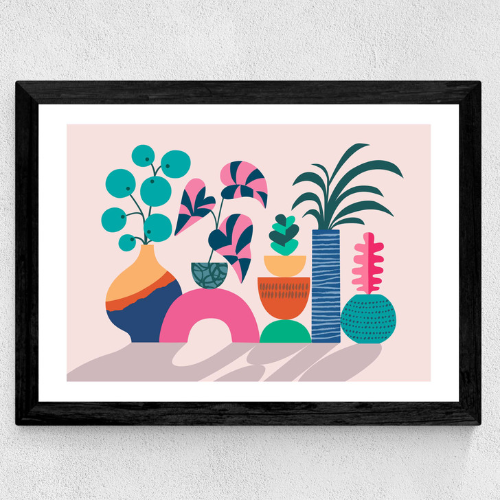 House Plants