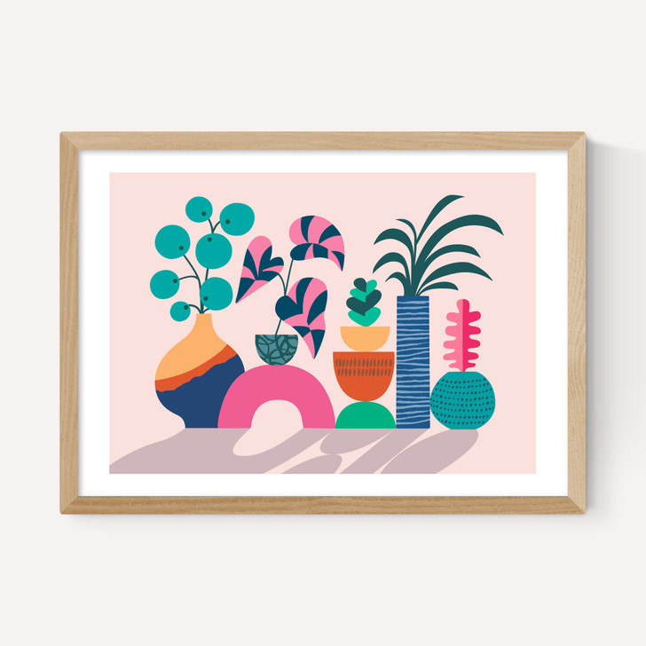 House Plants