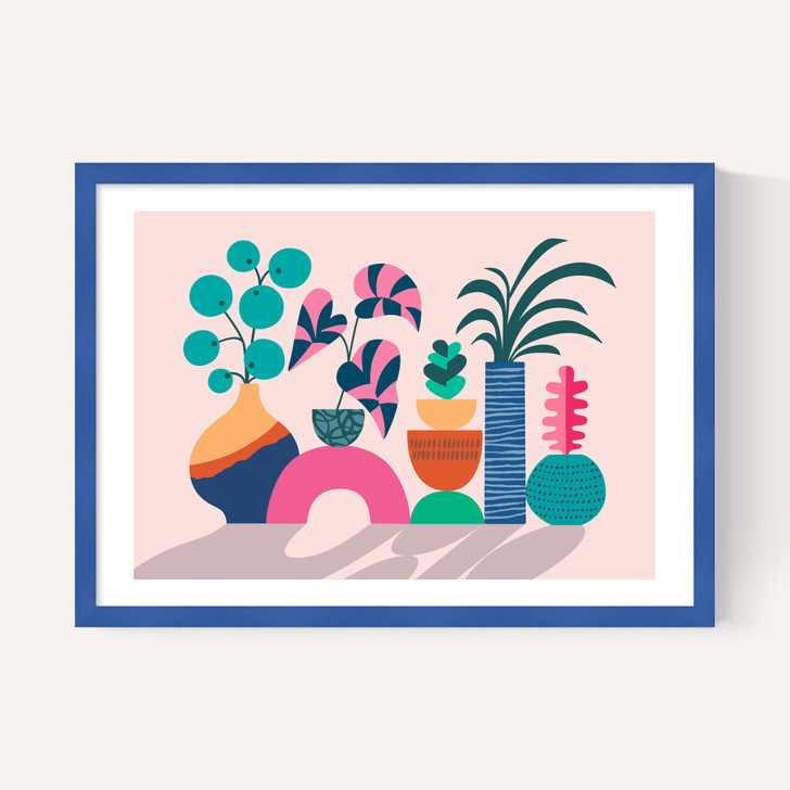 House Plants