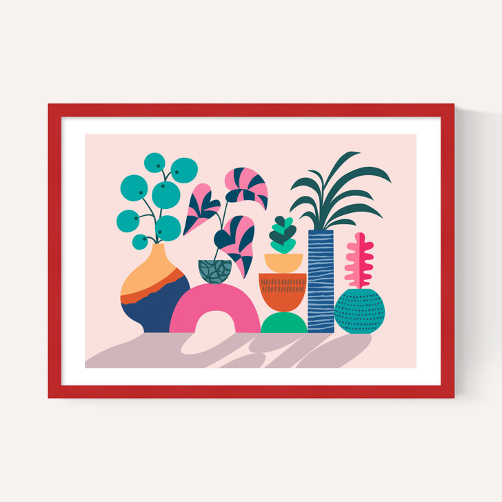 House Plants