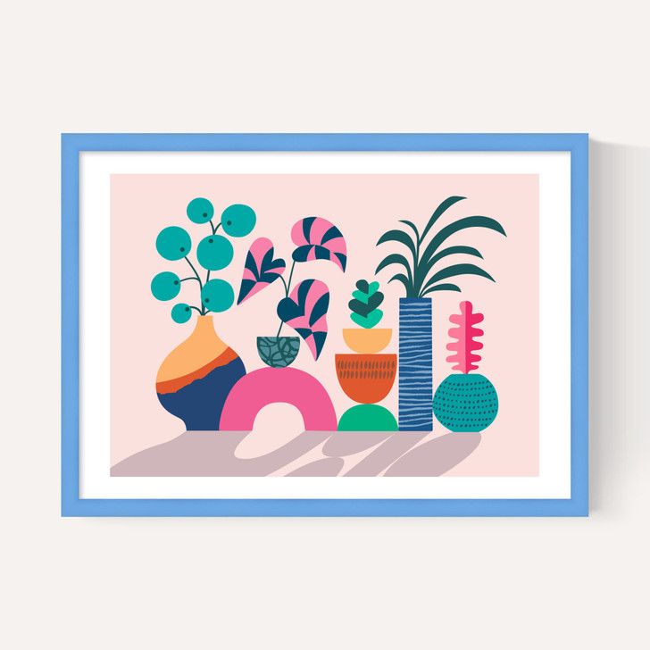 House Plants