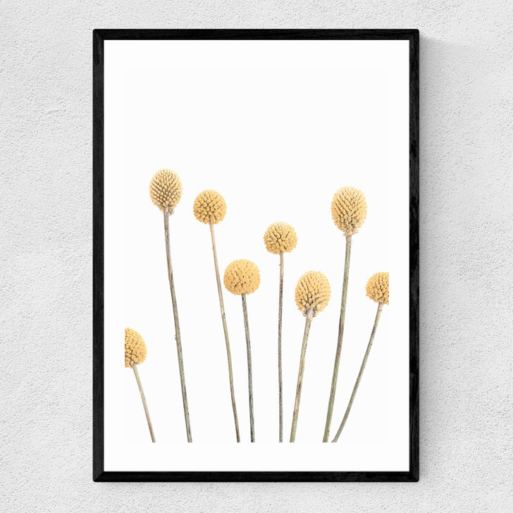 Buttons Narrow Black Frame Buttons Narrow Black Frame