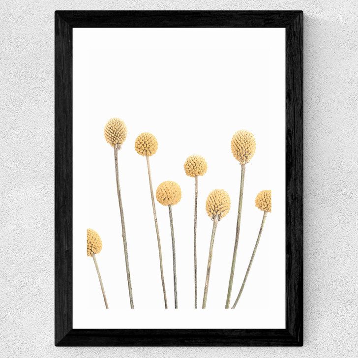 Buttons Wide Black Frame Buttons Wide Black Frame