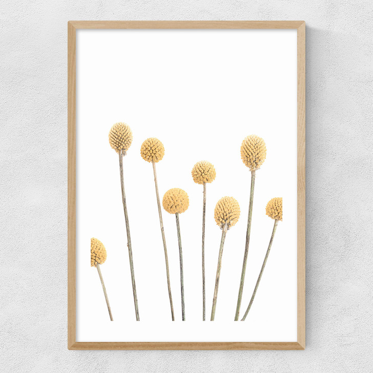 Buttons Narrow Oak Frame Buttons Narrow Oak Frame