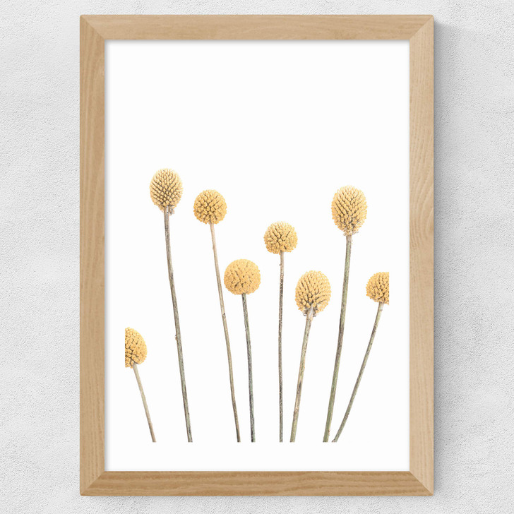 Buttons Wide Oak Frame Buttons Wide Oak Frame