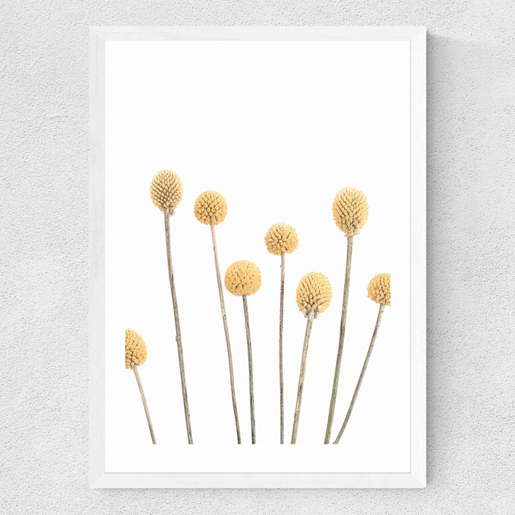 Buttons Medium White Frame Buttons Medium White Frame