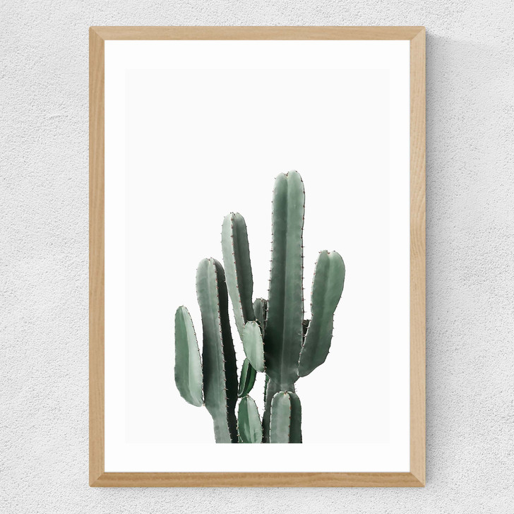 Succulent Set 3 Medium Oak Frame
