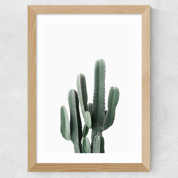 Succulent Set 3 Wide Oak Frame