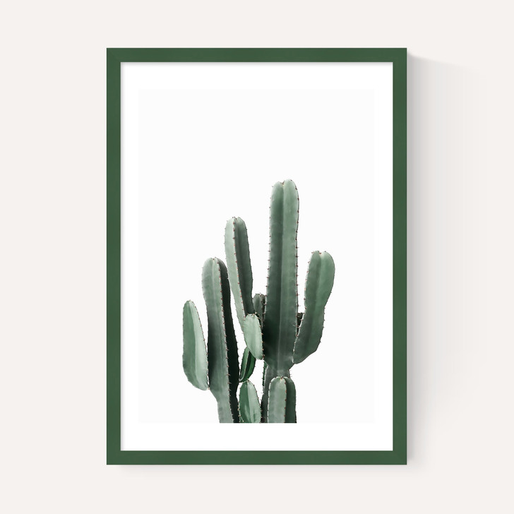 Succulent Set 3