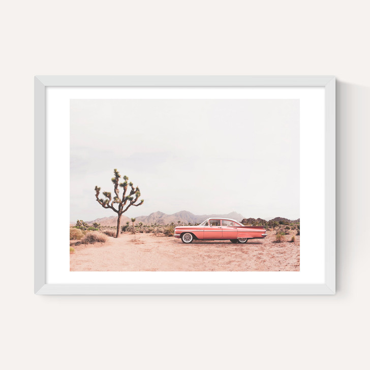 In the Desert