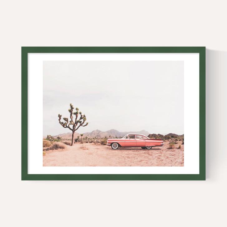 In the Desert