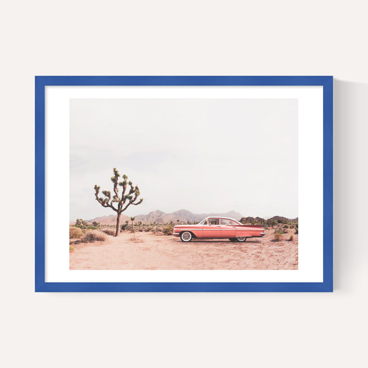 In the Desert
