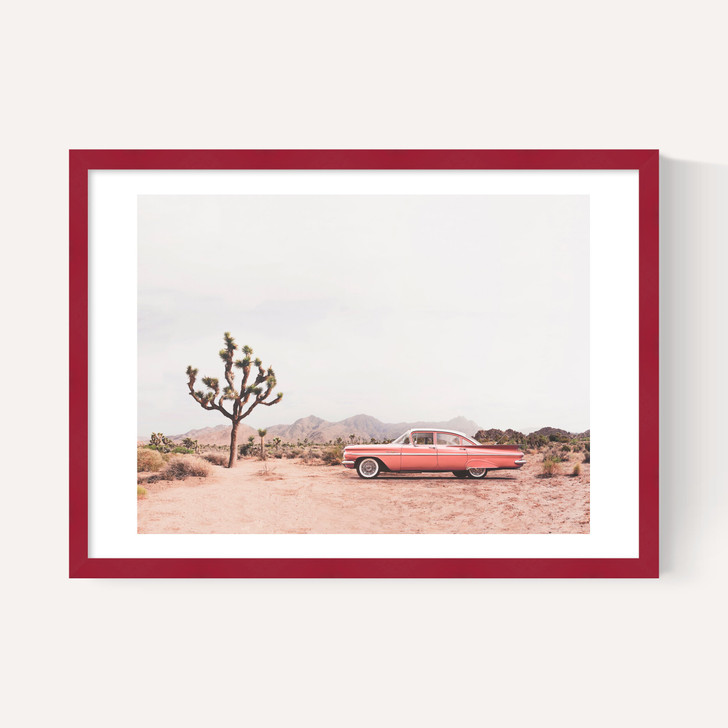 In the Desert