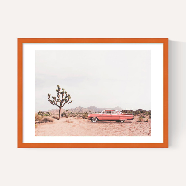 In the Desert