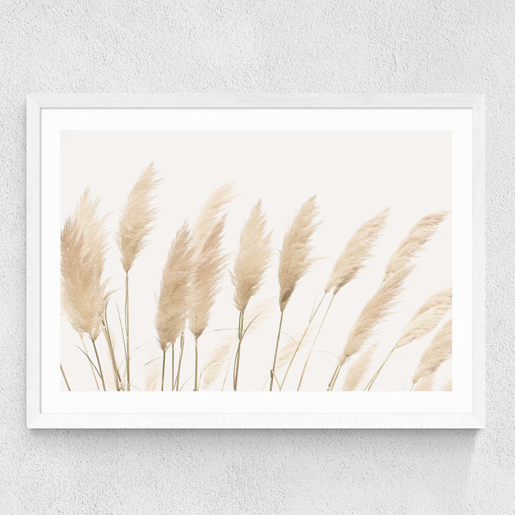 Pampas Medium White Frame Pampas Medium White Frame