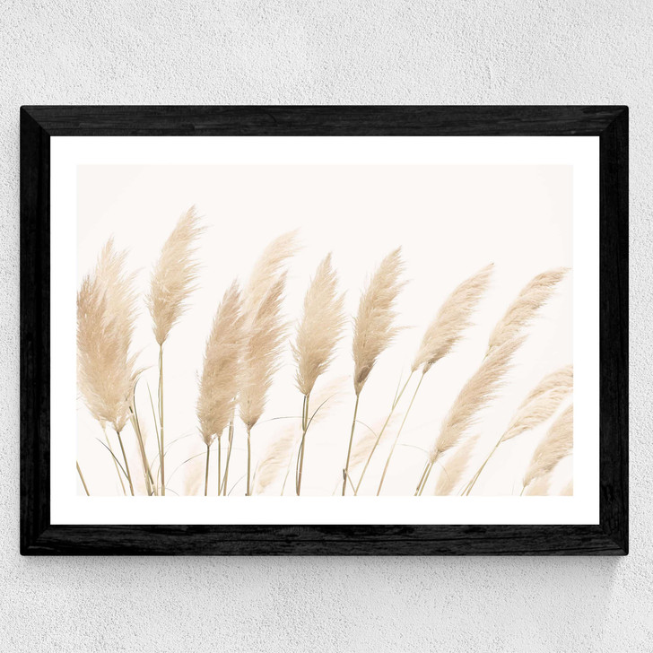 Pampas Wide Black Frame