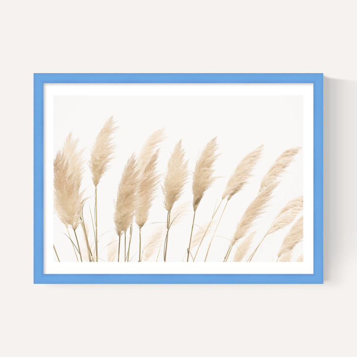 Pampas