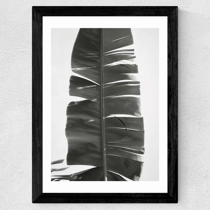 Tropical Jungle Vibes Wide Black Frame Tropical Jungle Vibes Wide Black Frame