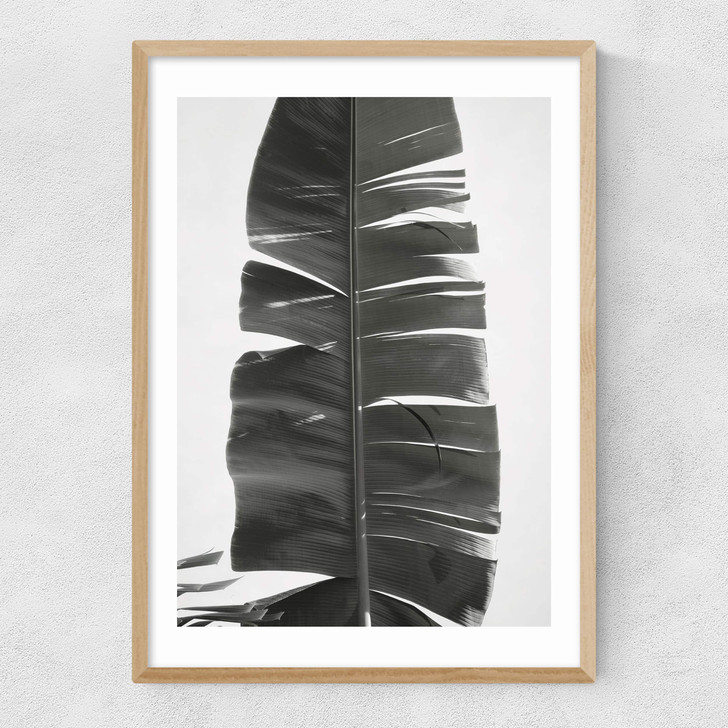 Tropical Jungle Vibes Narrow Oak Frame Tropical Jungle Vibes Narrow Oak Frame