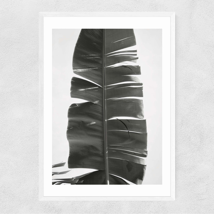 Tropical Jungle Vibes Narrow White Frame Tropical Jungle Vibes Narrow White Frame