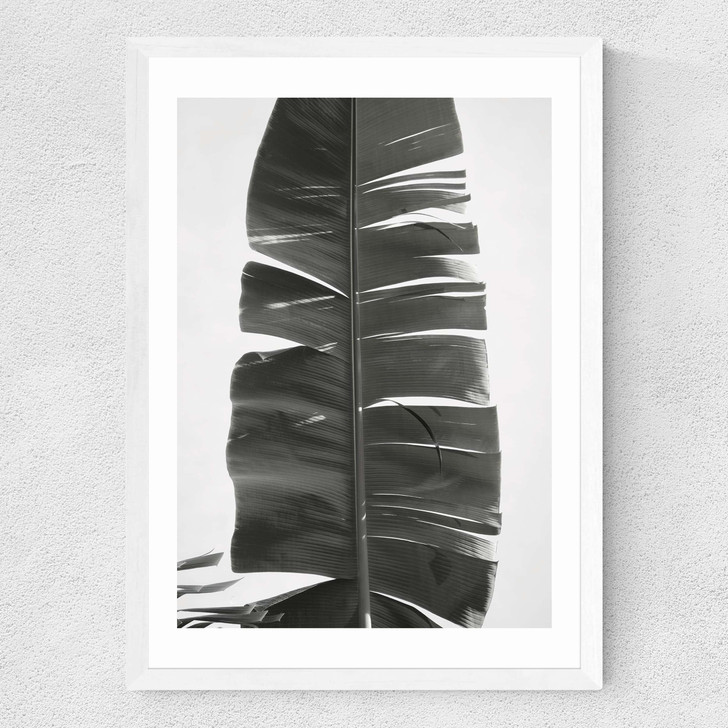 Tropical Jungle Vibes Medium White Frame Tropical Jungle Vibes Medium White Frame