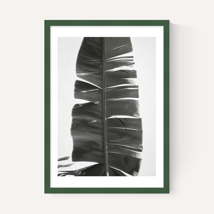 Tropical Jungle Vibes