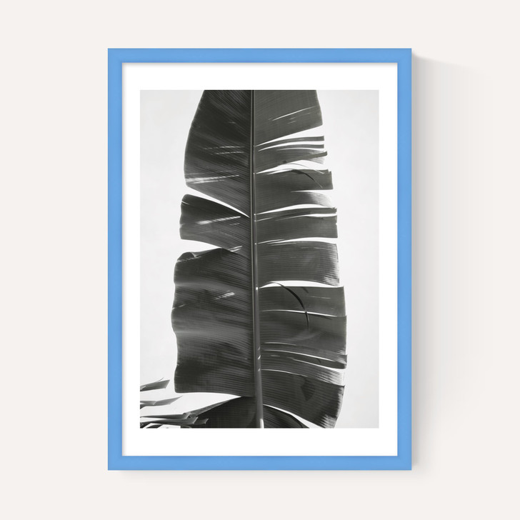 Tropical Jungle Vibes