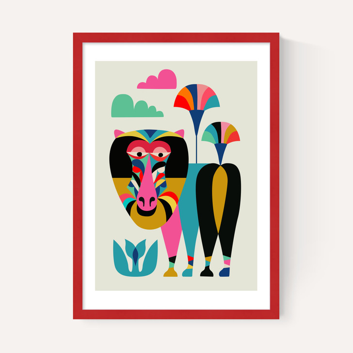Baboon