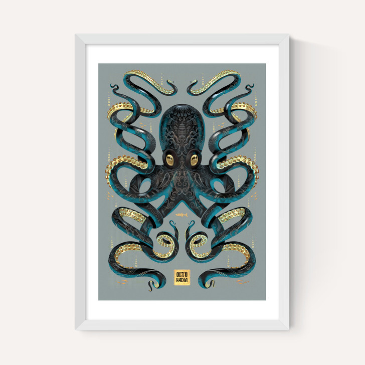 Octopus