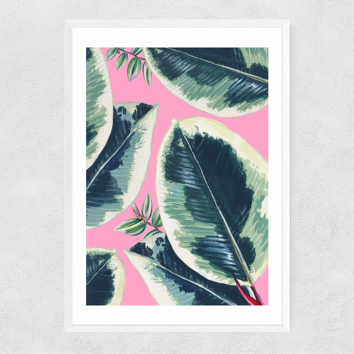 Rubber Plant Narrow White Frame Rubber Plant Narrow White Frame