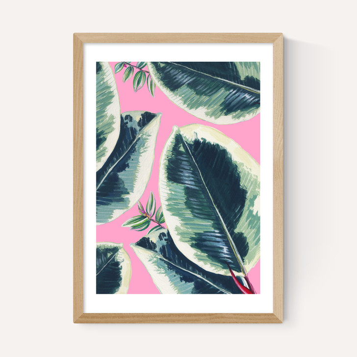 Rubber Plant