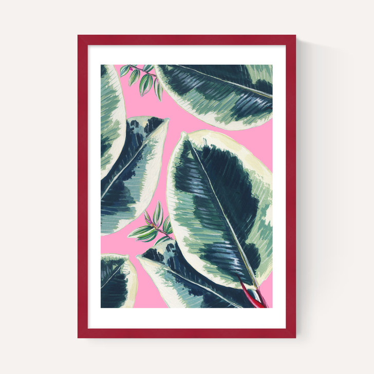 Rubber Plant