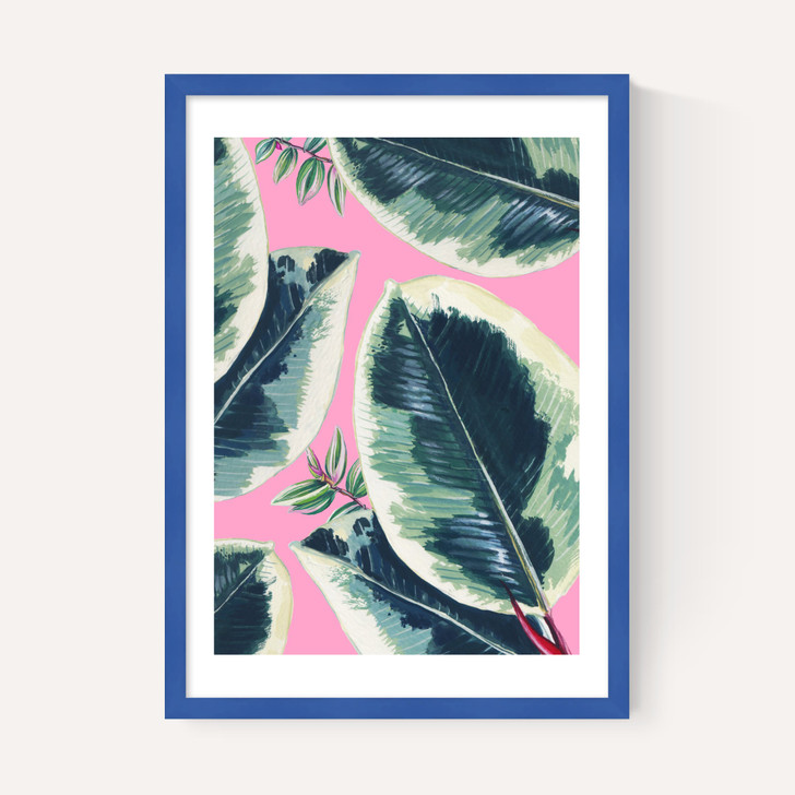 Rubber Plant