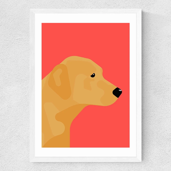 Labrador Medium White Frame