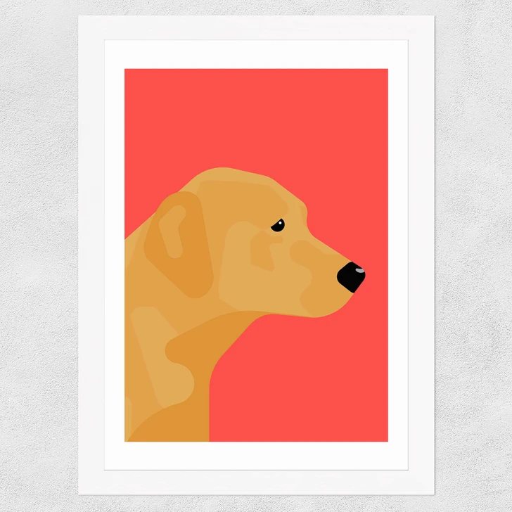 Labrador Wide White Frame