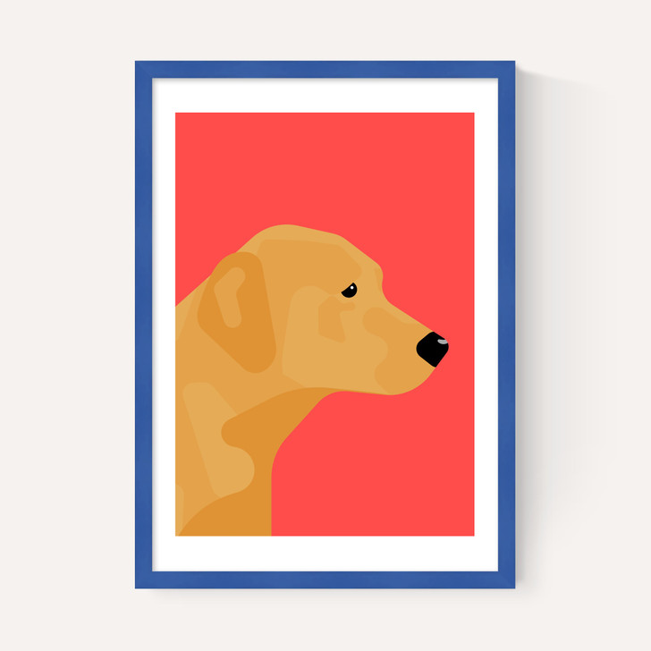 Labrador