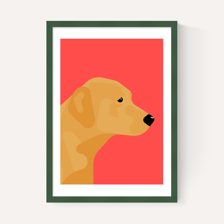 Labrador