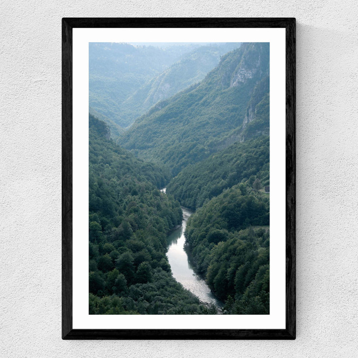 The River Through The Forest