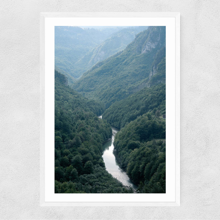 The River Through The Forest