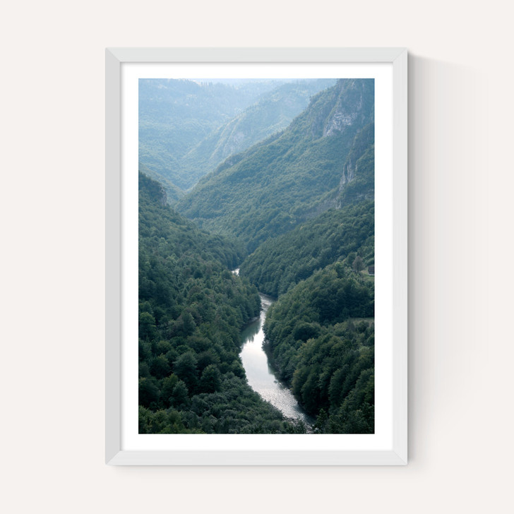 The River Through The Forest