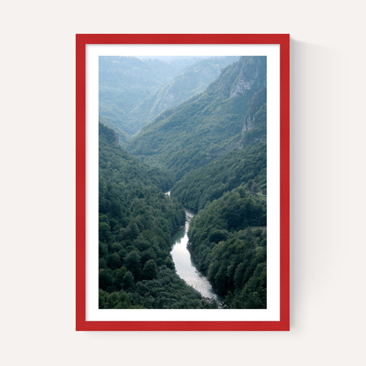The River Through The Forest