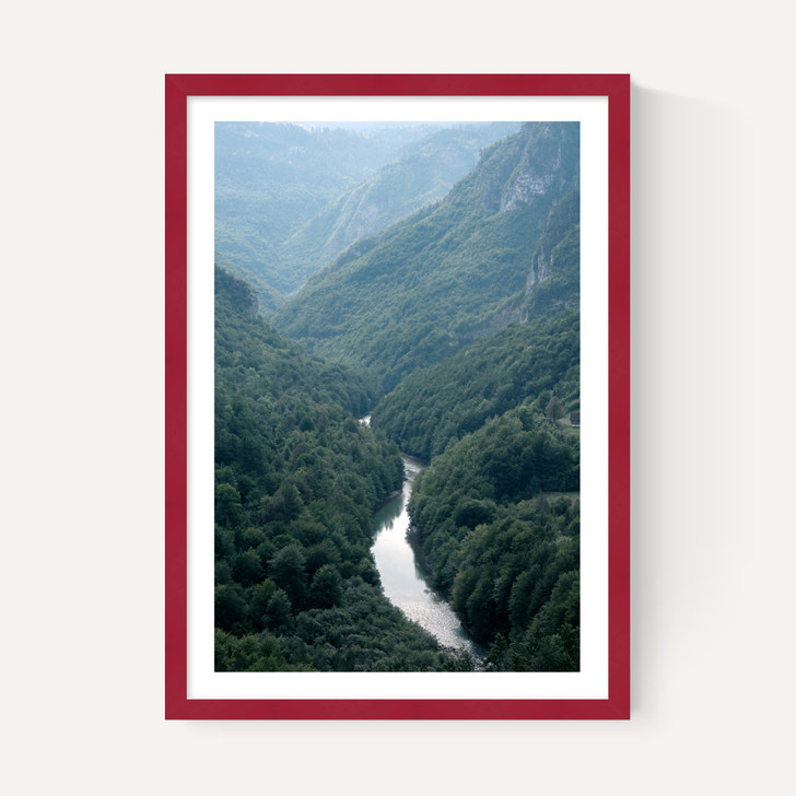 The River Through The Forest
