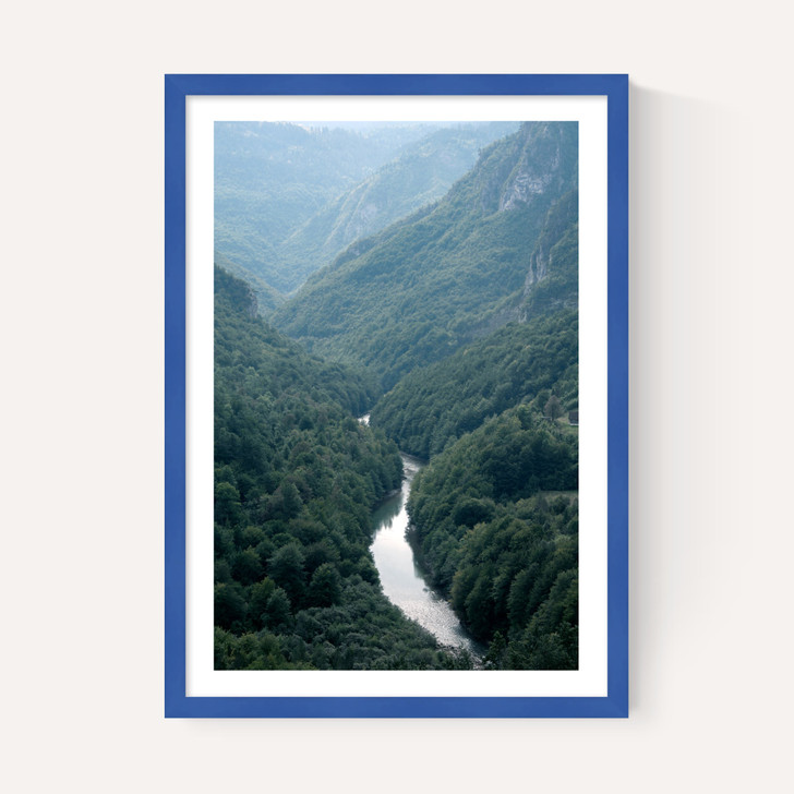 The River Through The Forest
