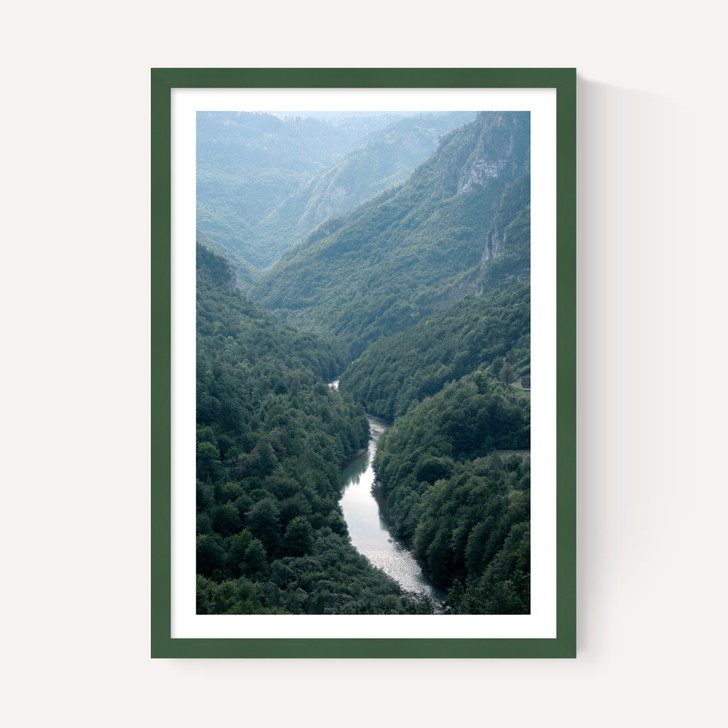 The River Through The Forest