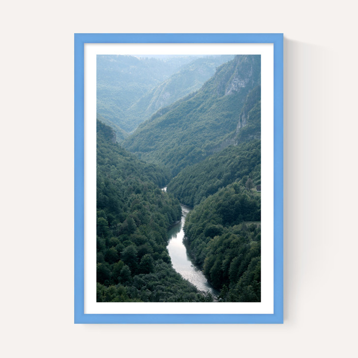 The River Through The Forest