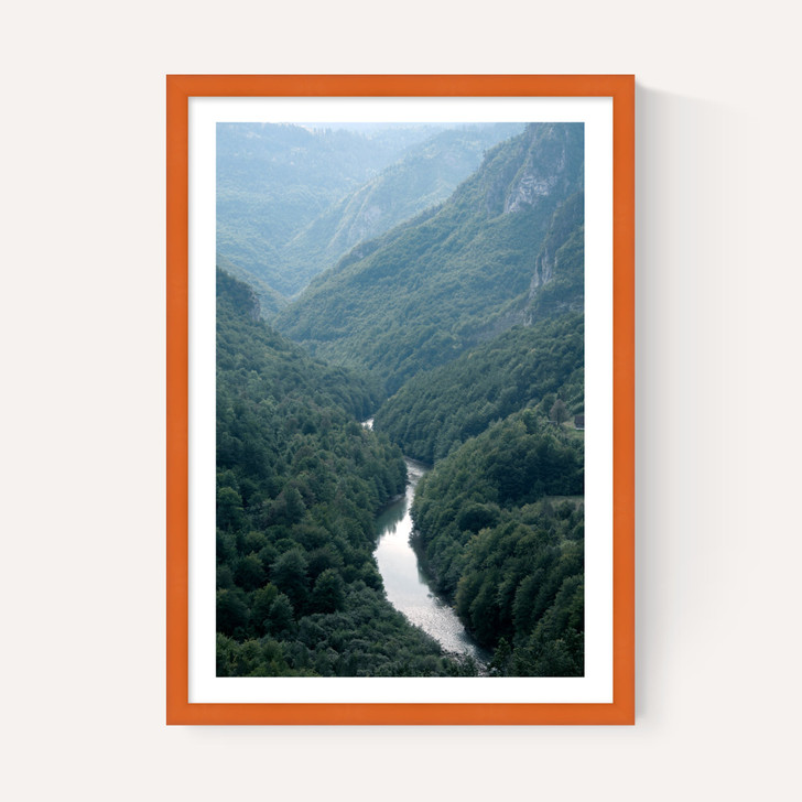 The River Through The Forest