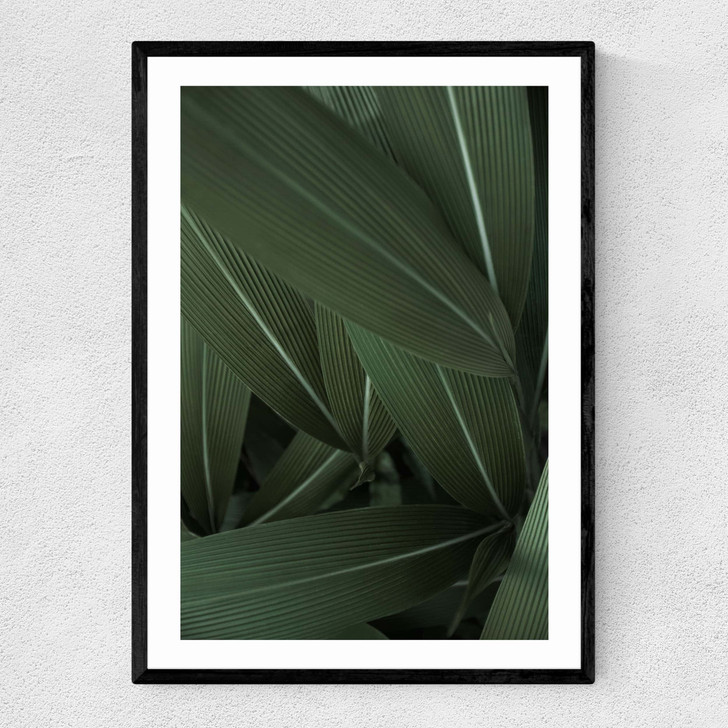 Minimal Plants Narrow Black Frame Minimal Plants Narrow Black Frame